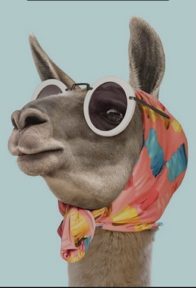 maryjh OnlyFans profile picture