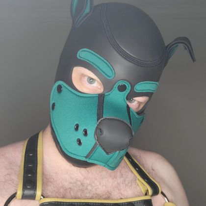 pupcabe OnlyFans picture