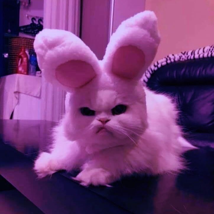 ashleymdo OnlyFans profile picture