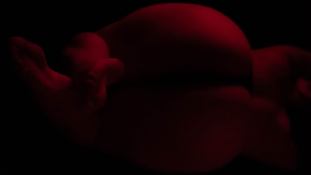 exclusivcrib OnlyFans profile picture