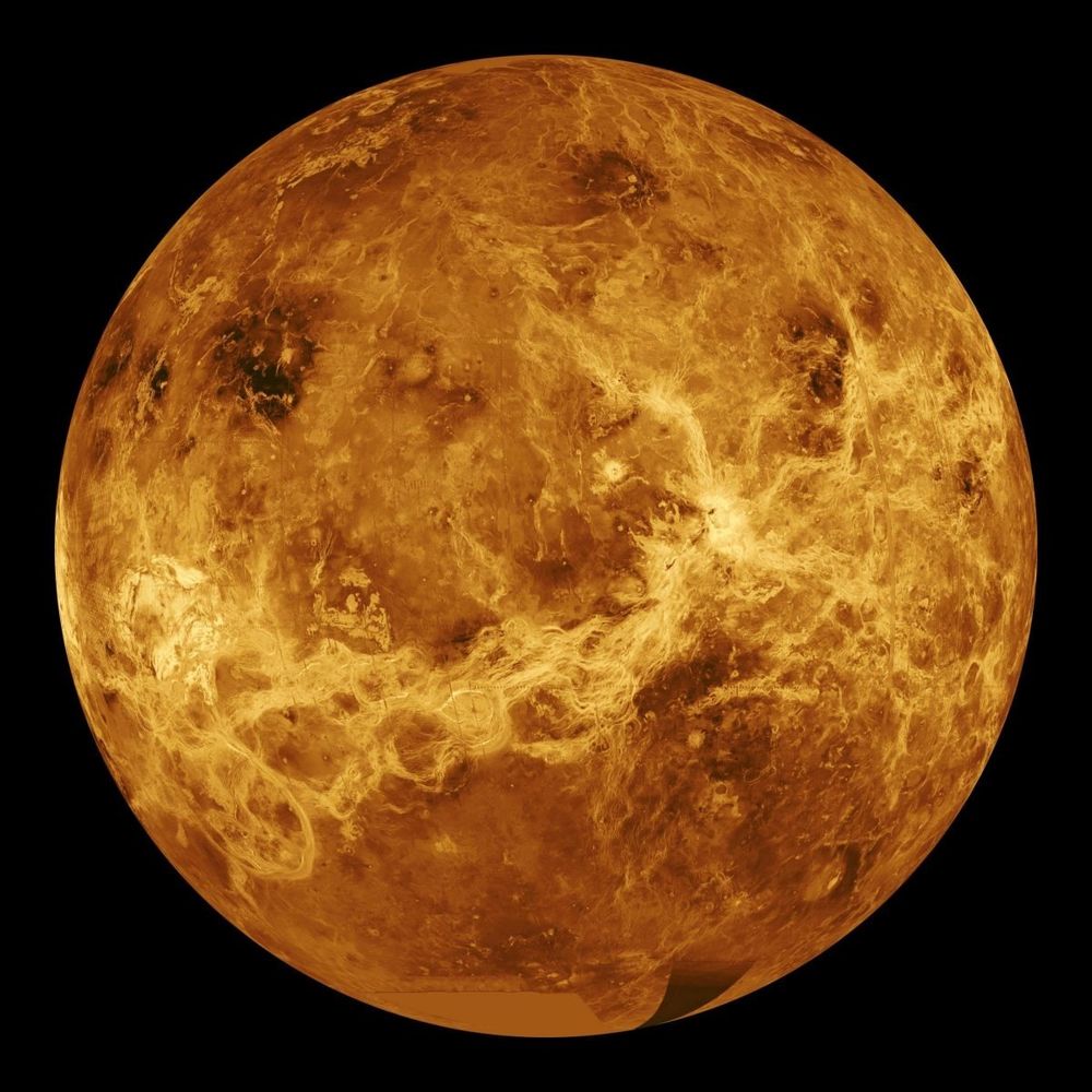 beauty.venus OnlyFans profile picture
