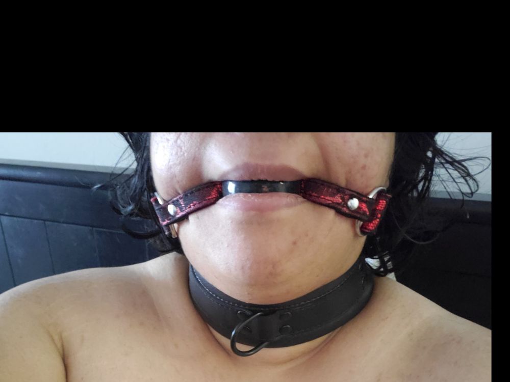 whipher OnlyFans profile picture