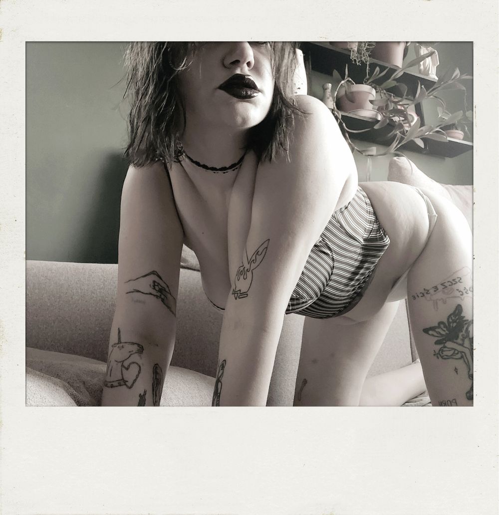 xaldonka OnlyFans profile picture