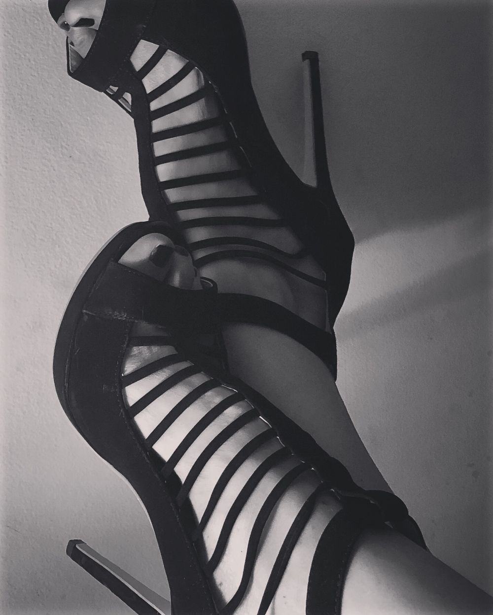 heddieaurora OnlyFans profile picture