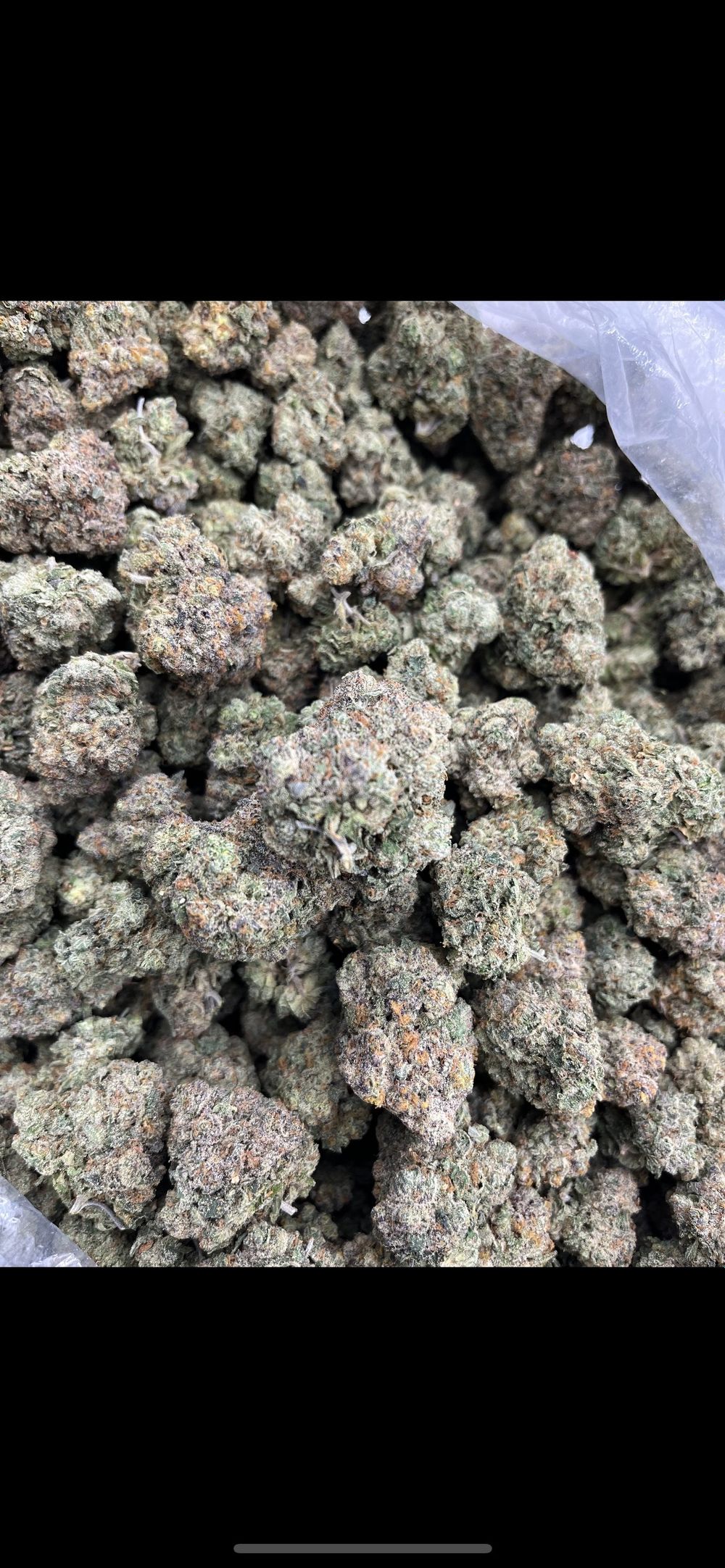 icefresh1 OnlyFans profile picture