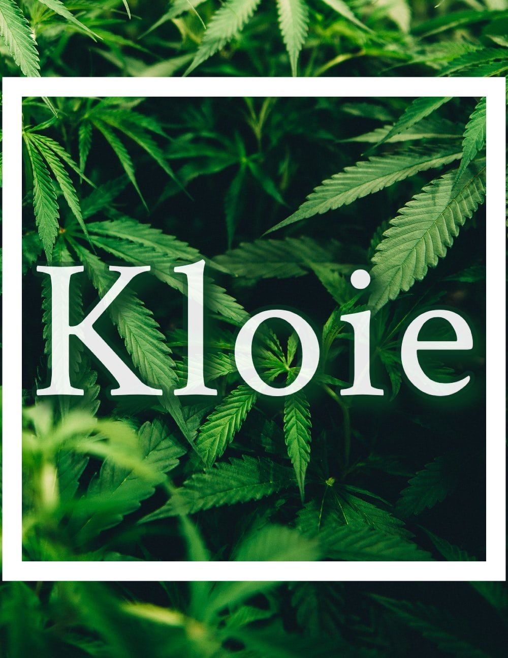 kloie420 OnlyFans profile picture
