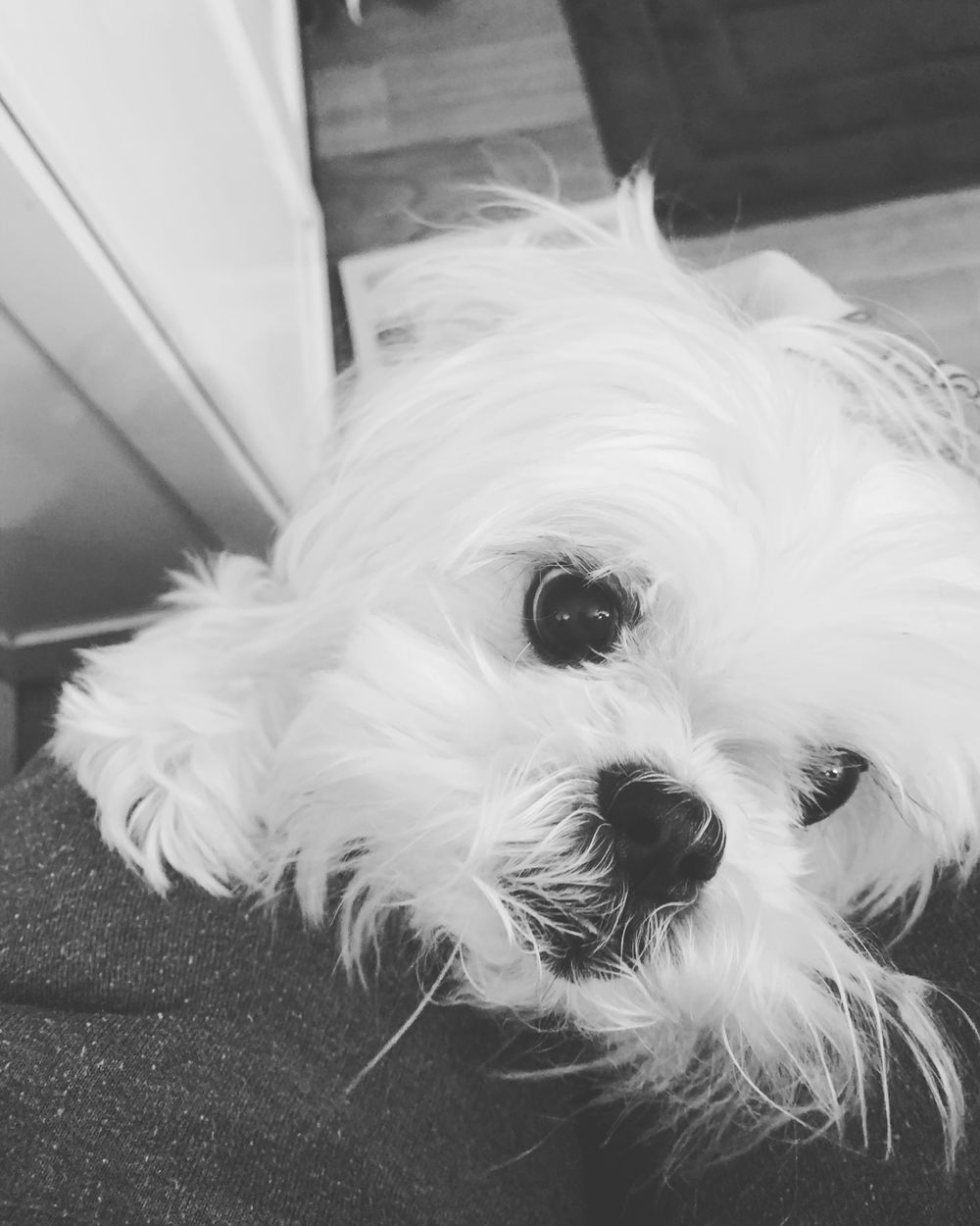 tatertot94 OnlyFans profile picture