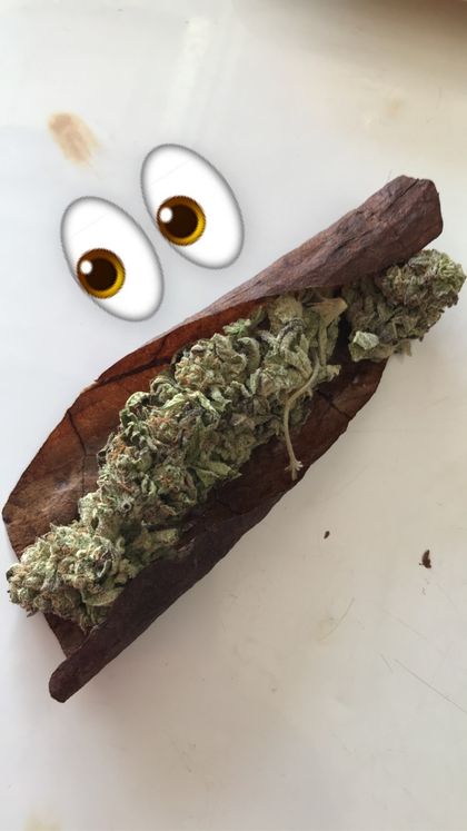 pimpzaddy OnlyFans picture