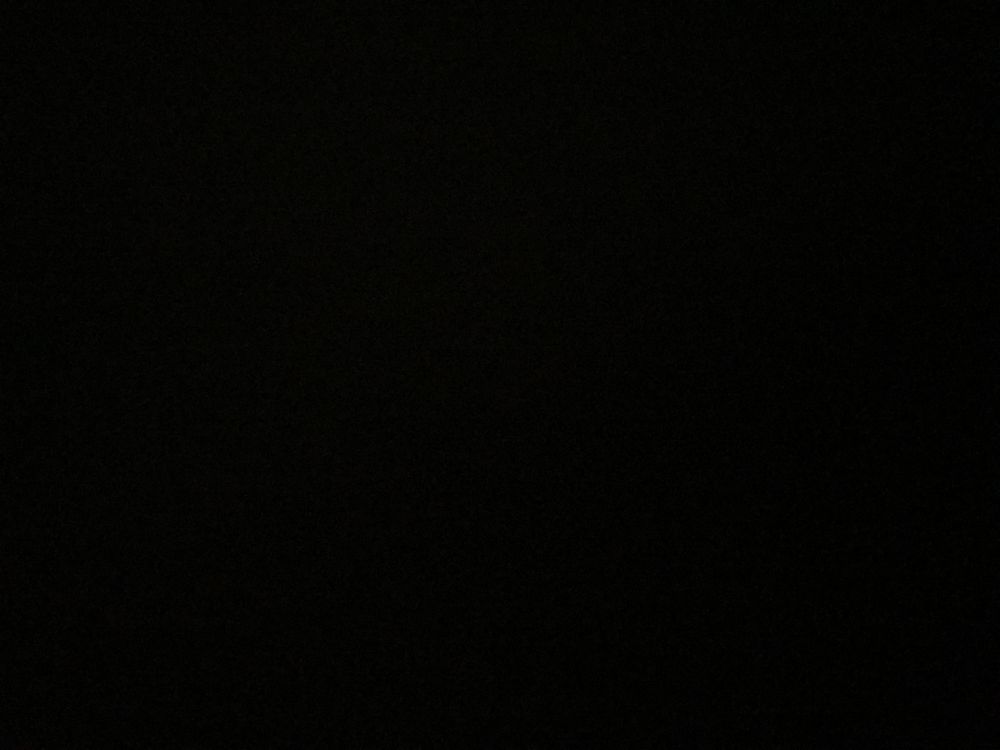pazzzzzota OnlyFans profile picture