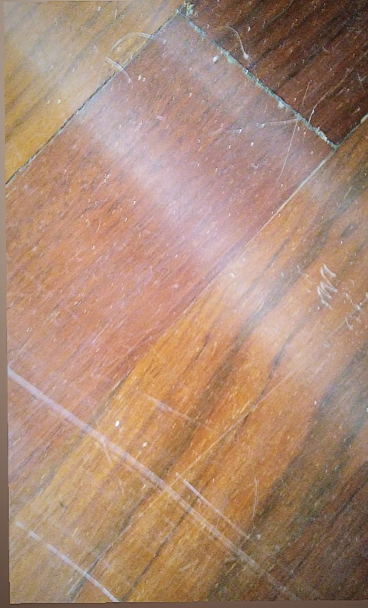 youngee OnlyFans profile picture