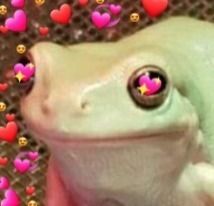 winterkissed OnlyFans profile picture