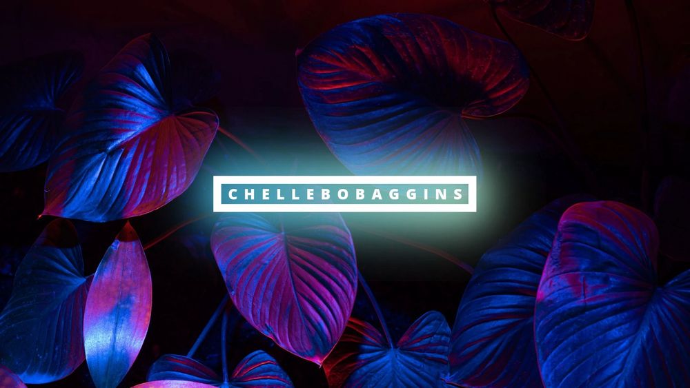 chellebobaggins OnlyFans profile picture