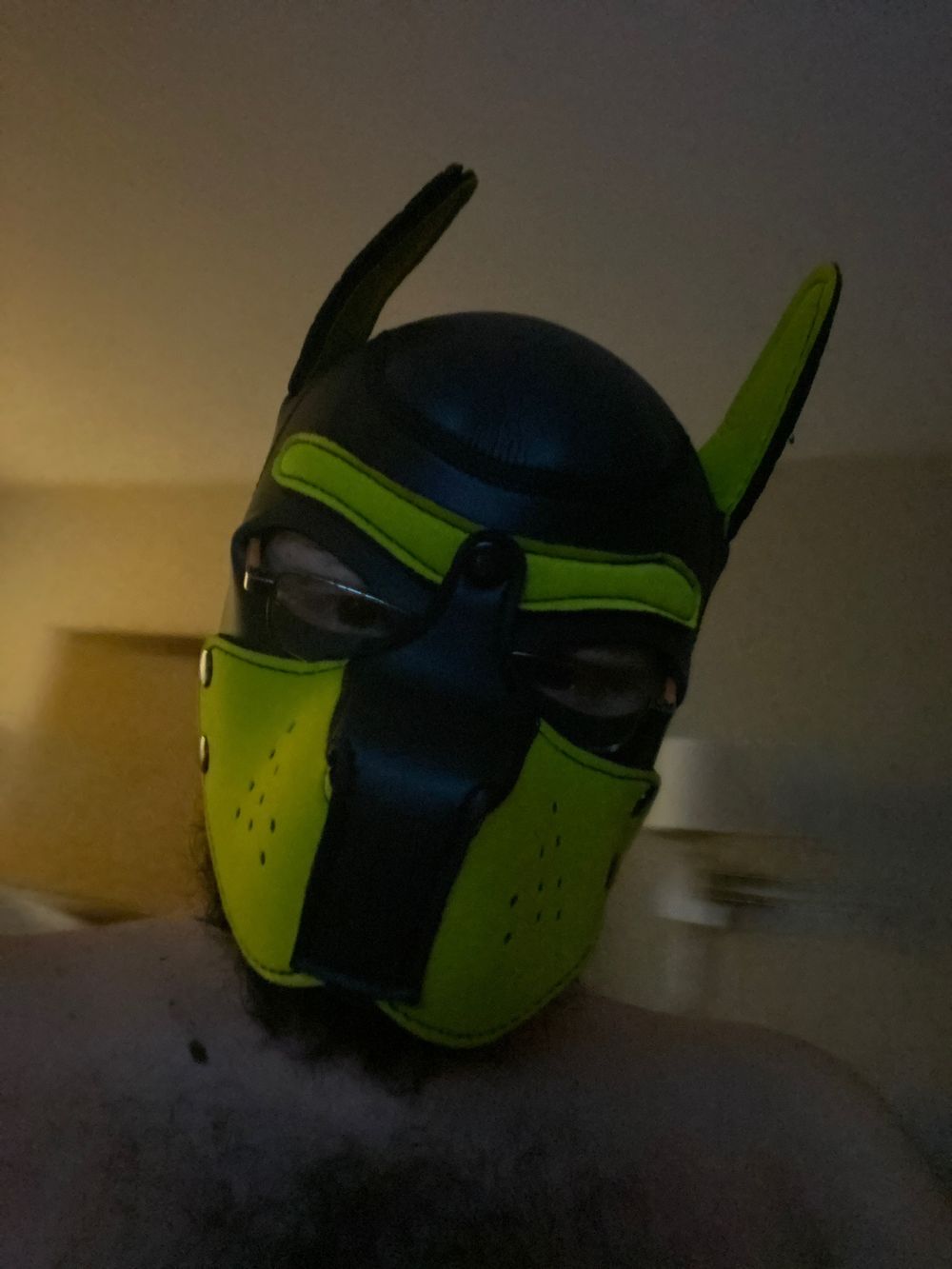 blazikenthepup OnlyFans profile picture