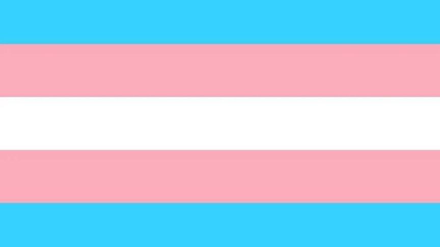 catadortrans OnlyFans profile picture