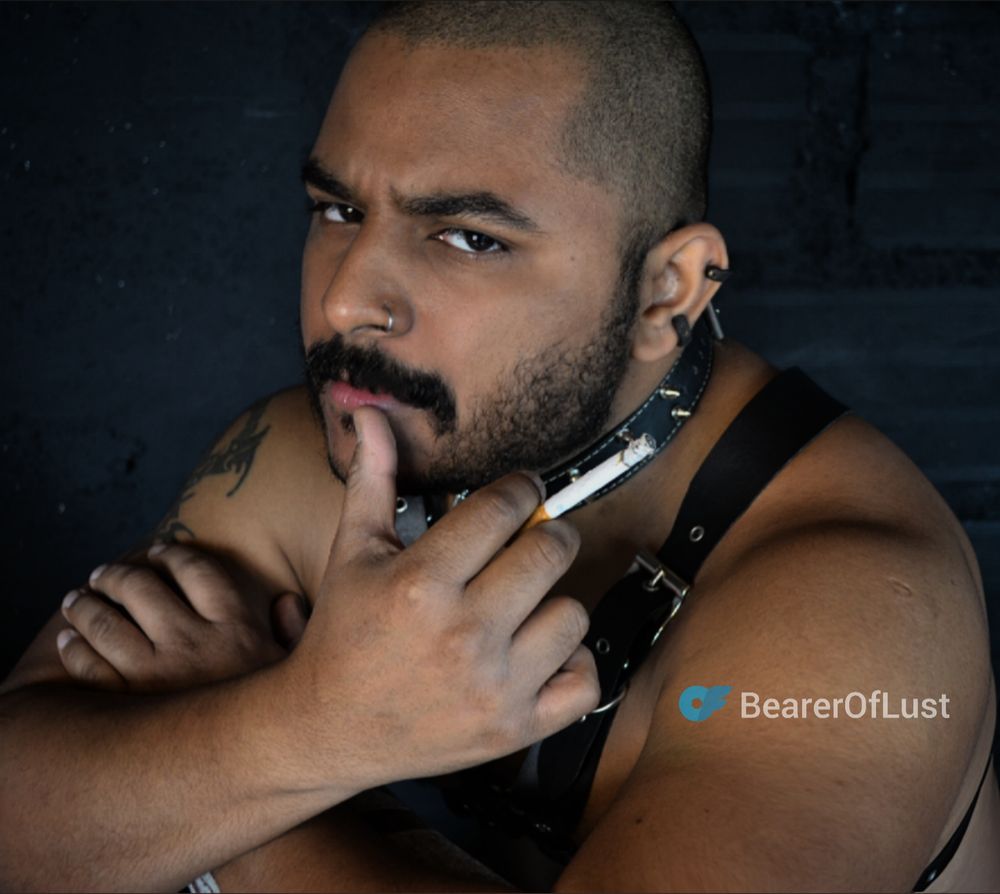 beareroflustfree OnlyFans profile picture