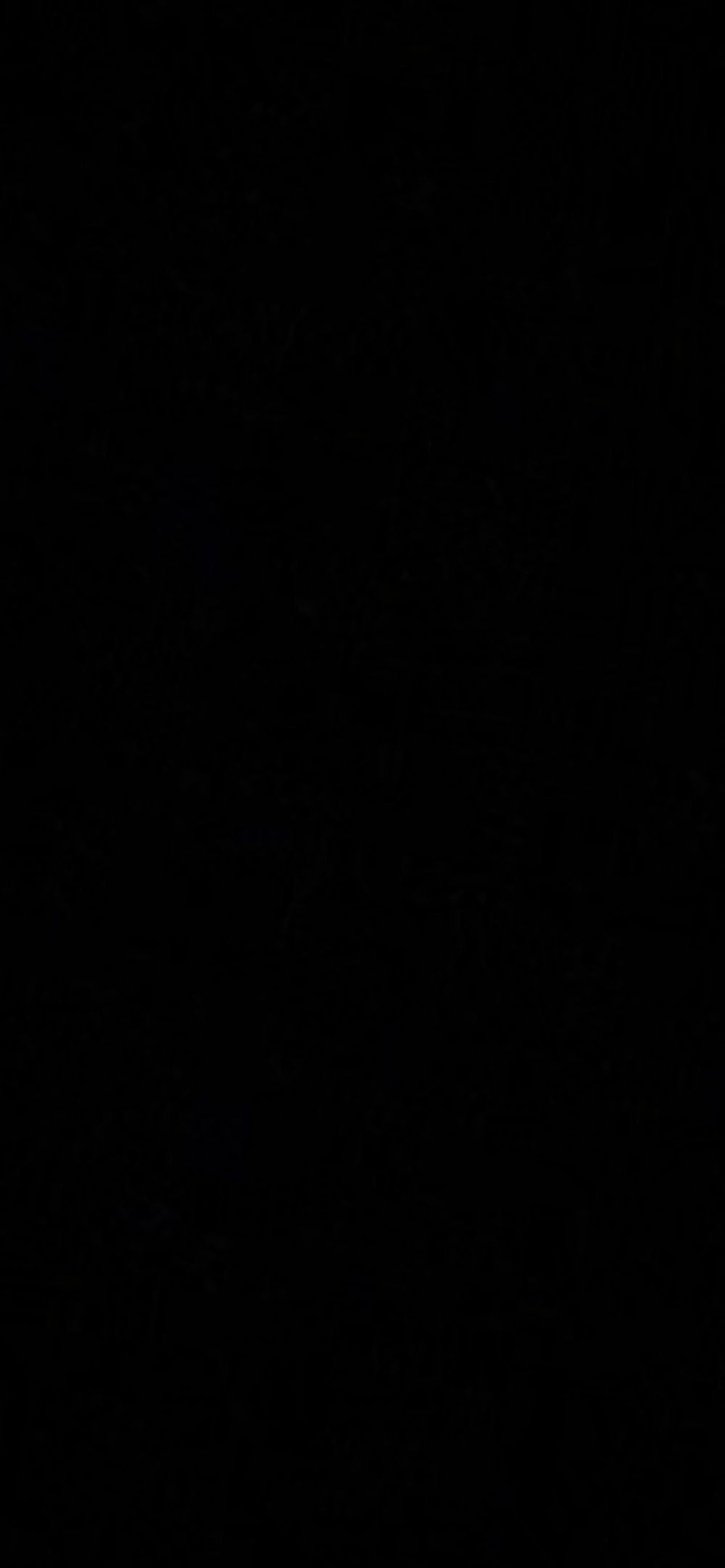 demonboyt OnlyFans profile picture