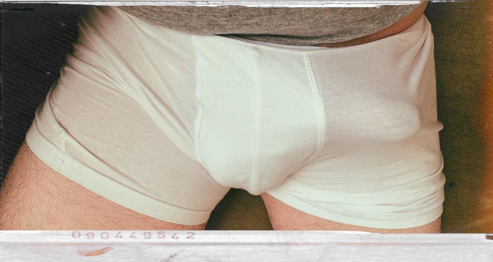 mercutiobloom OnlyFans profile picture