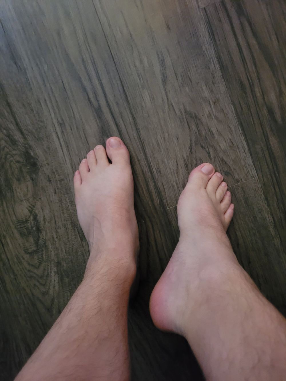 stockyboi4u OnlyFans profile picture