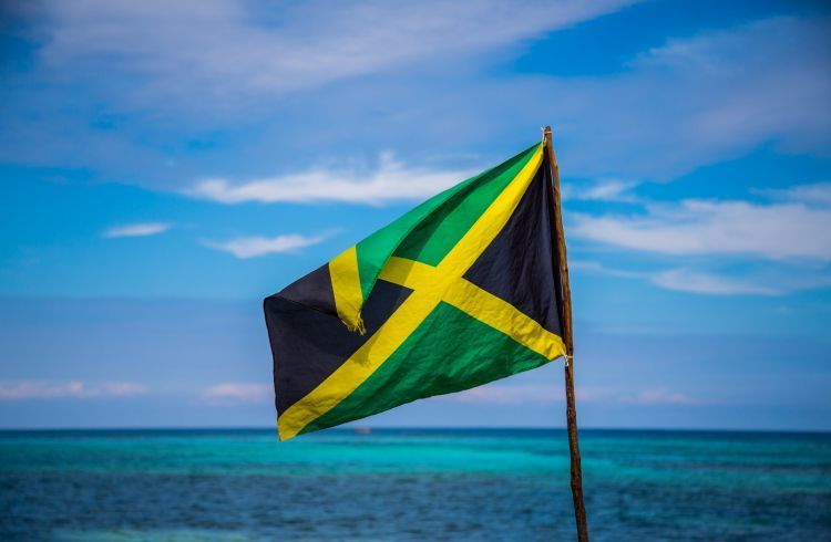 jamaicanmefein OnlyFans profile picture