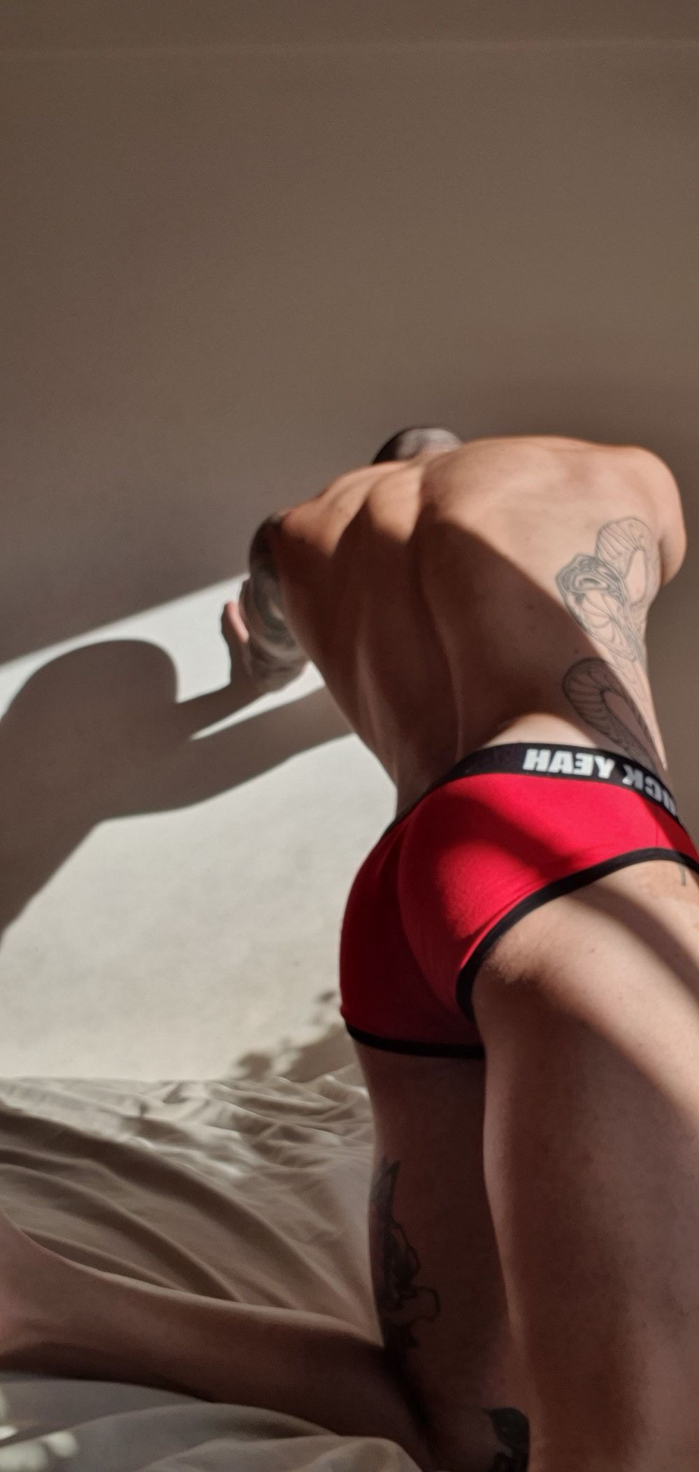 jotaleon94 OnlyFans profile picture