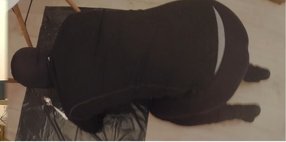 slave4ms OnlyFans profile picture