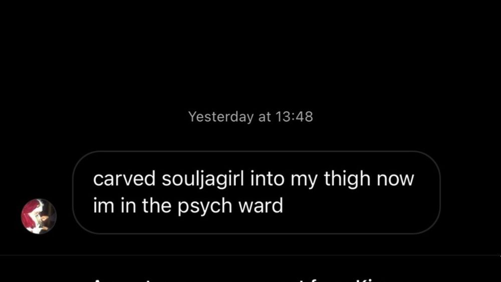 soulj6girlx OnlyFans profile picture