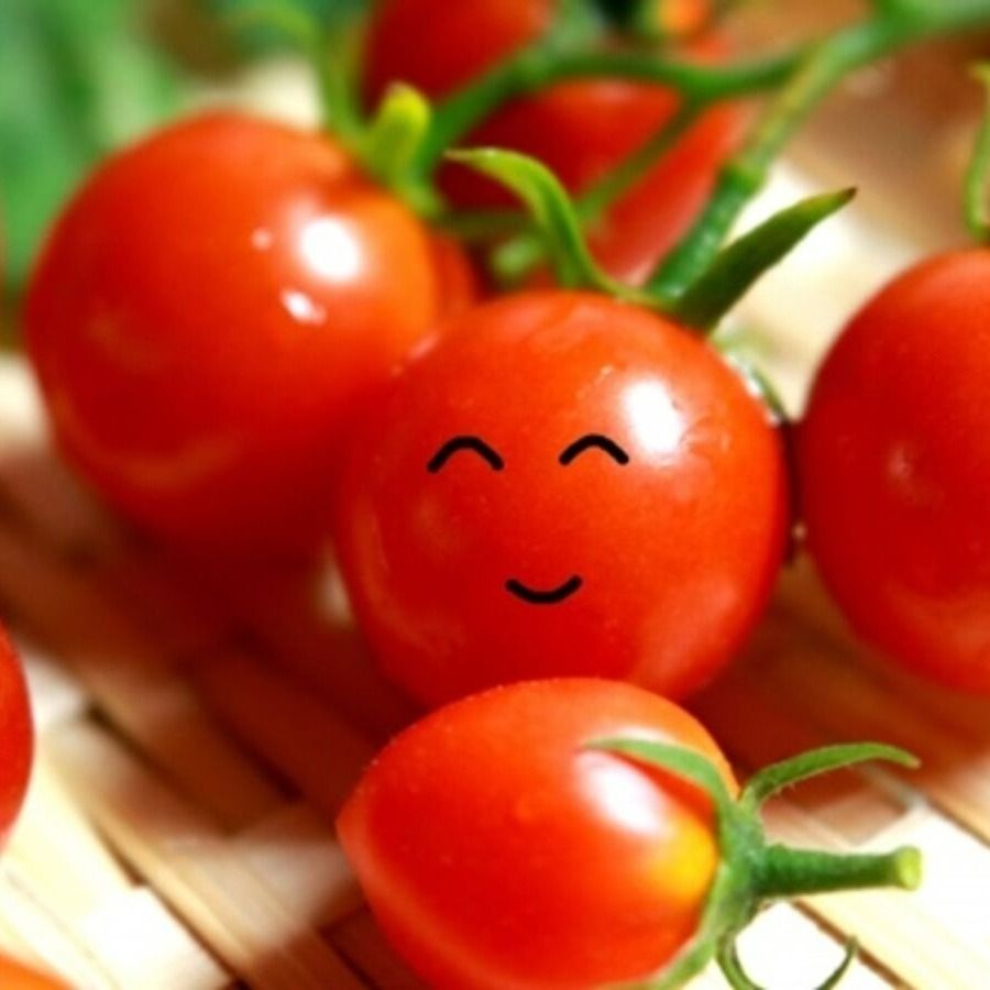 tomato1195 OnlyFans profile picture