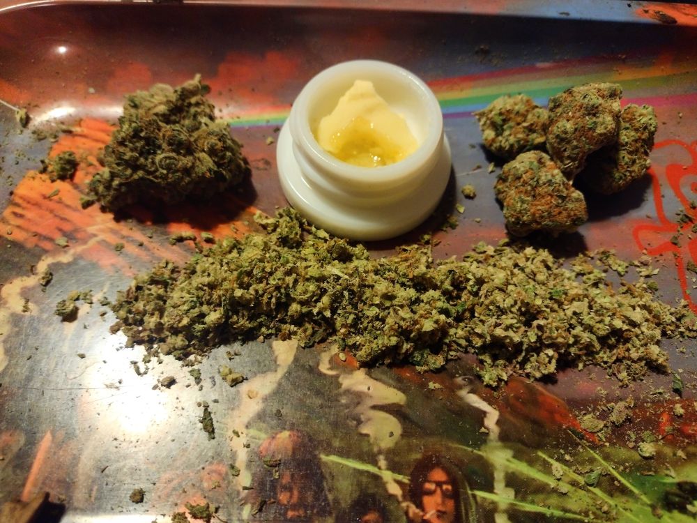 ganjagoddessgg OnlyFans profile picture