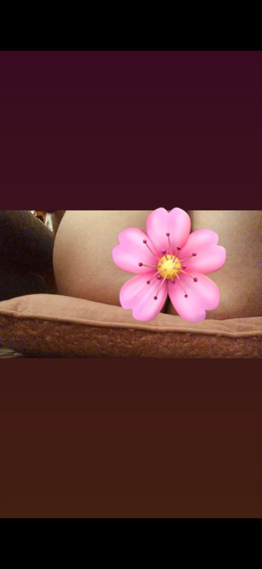 anarchyjustice OnlyFans profile picture