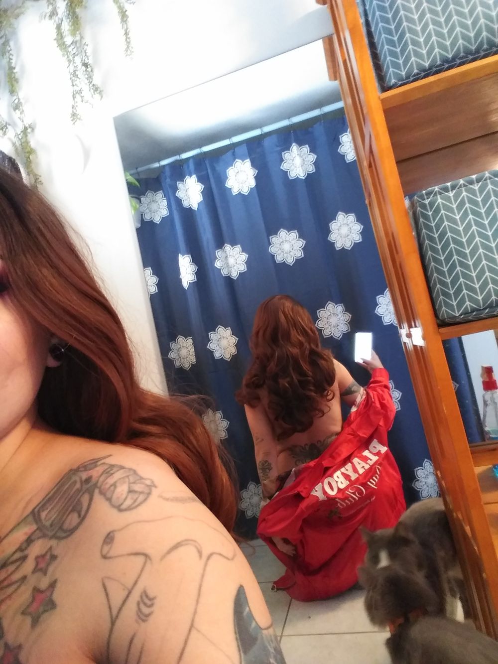 sydney6669 OnlyFans profile picture
