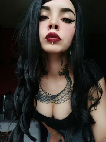 Vanessa Atalanta