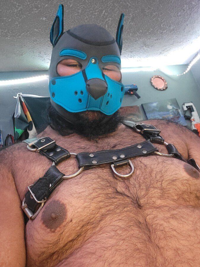 mikeydagrizzly OnlyFans profile picture