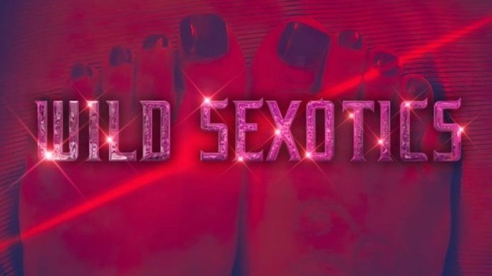 wildsexotic OnlyFans profile picture