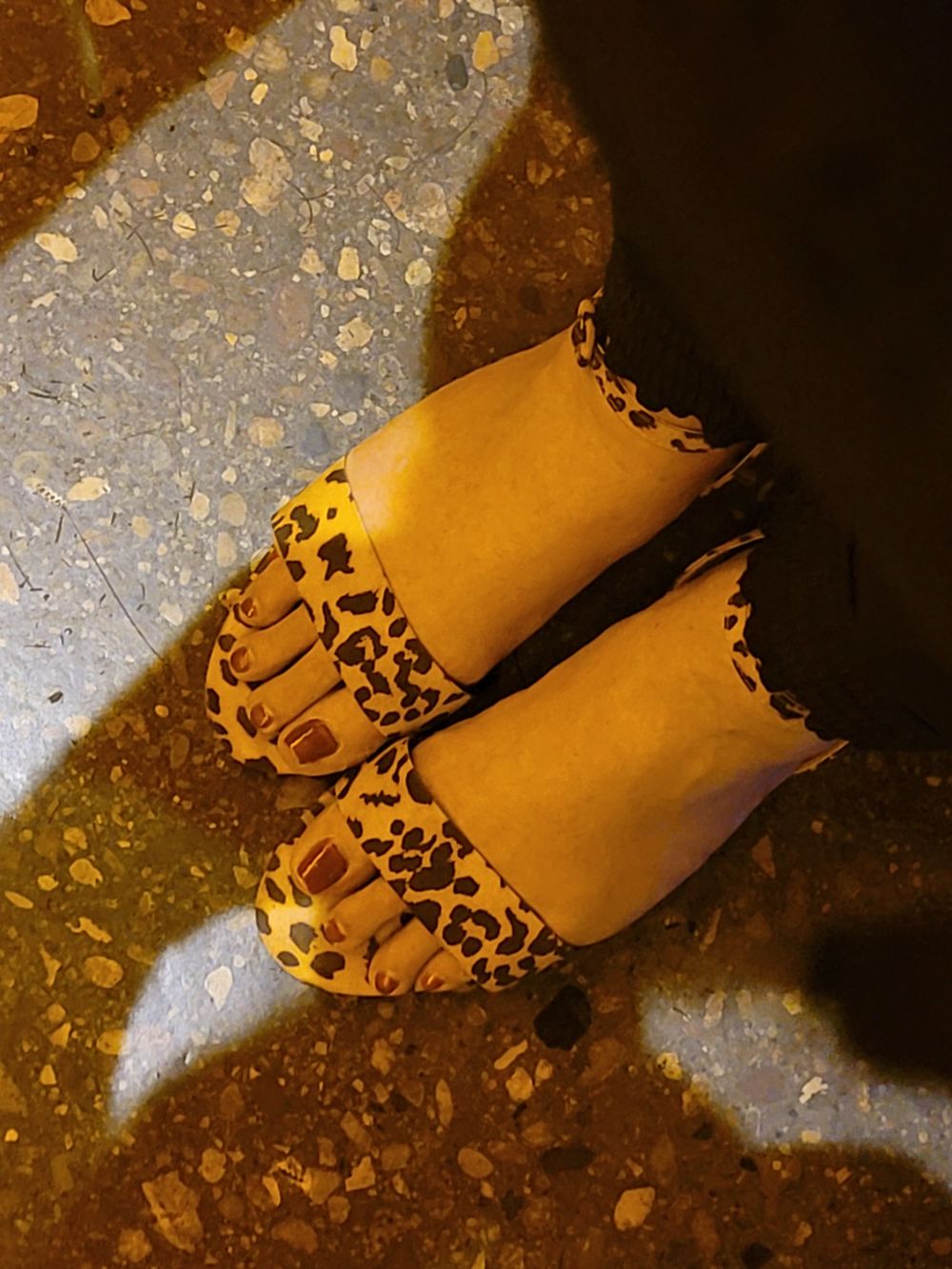 feetinaround OnlyFans profile picture