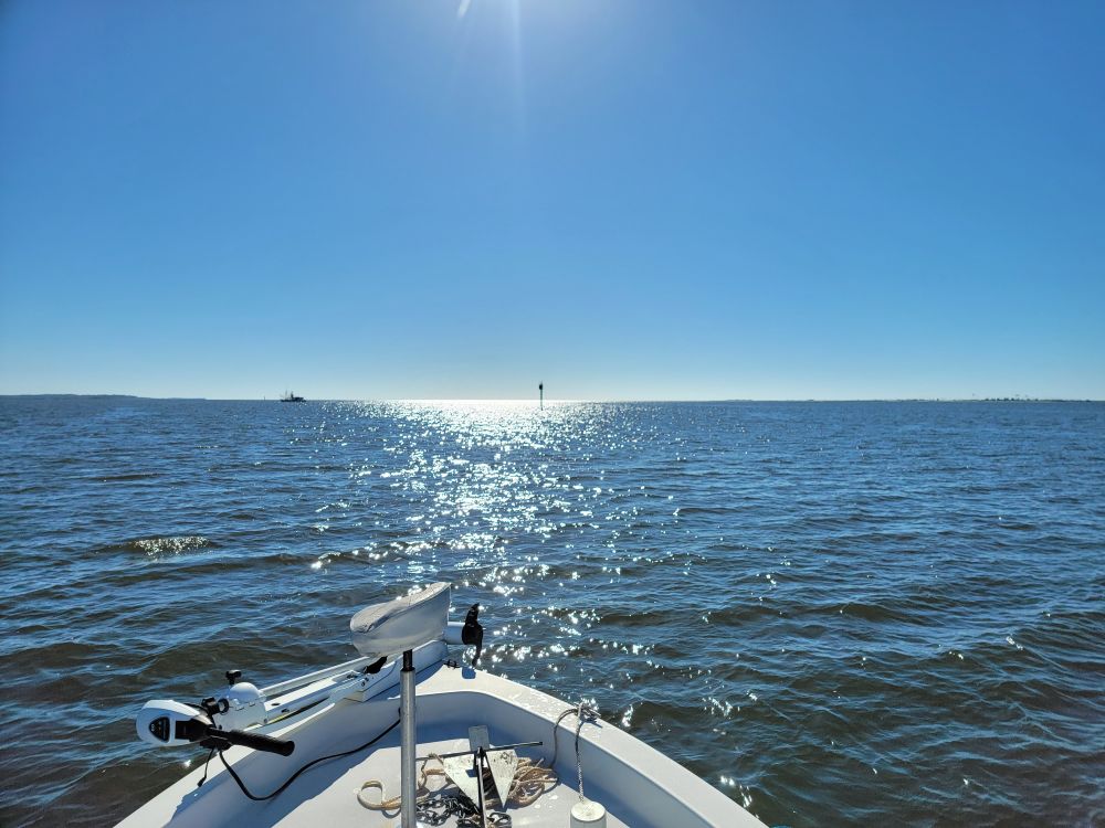 rikifitz OnlyFans profile picture
