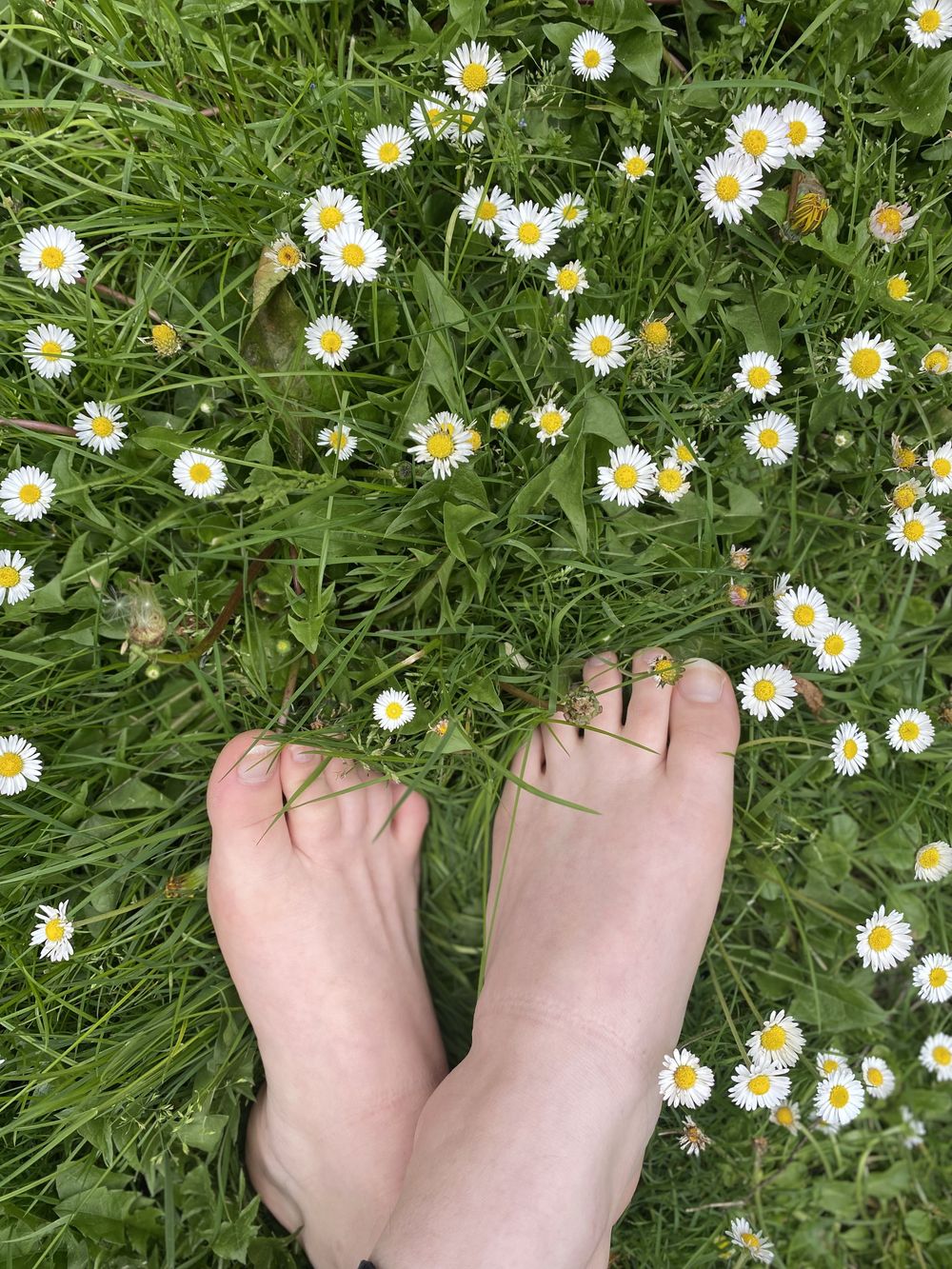 nicetofeetu333 OnlyFans profile picture