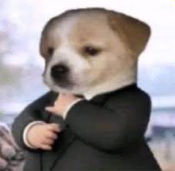 Dxmonizxd