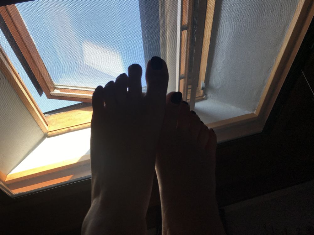 ph0_enix OnlyFans profile picture