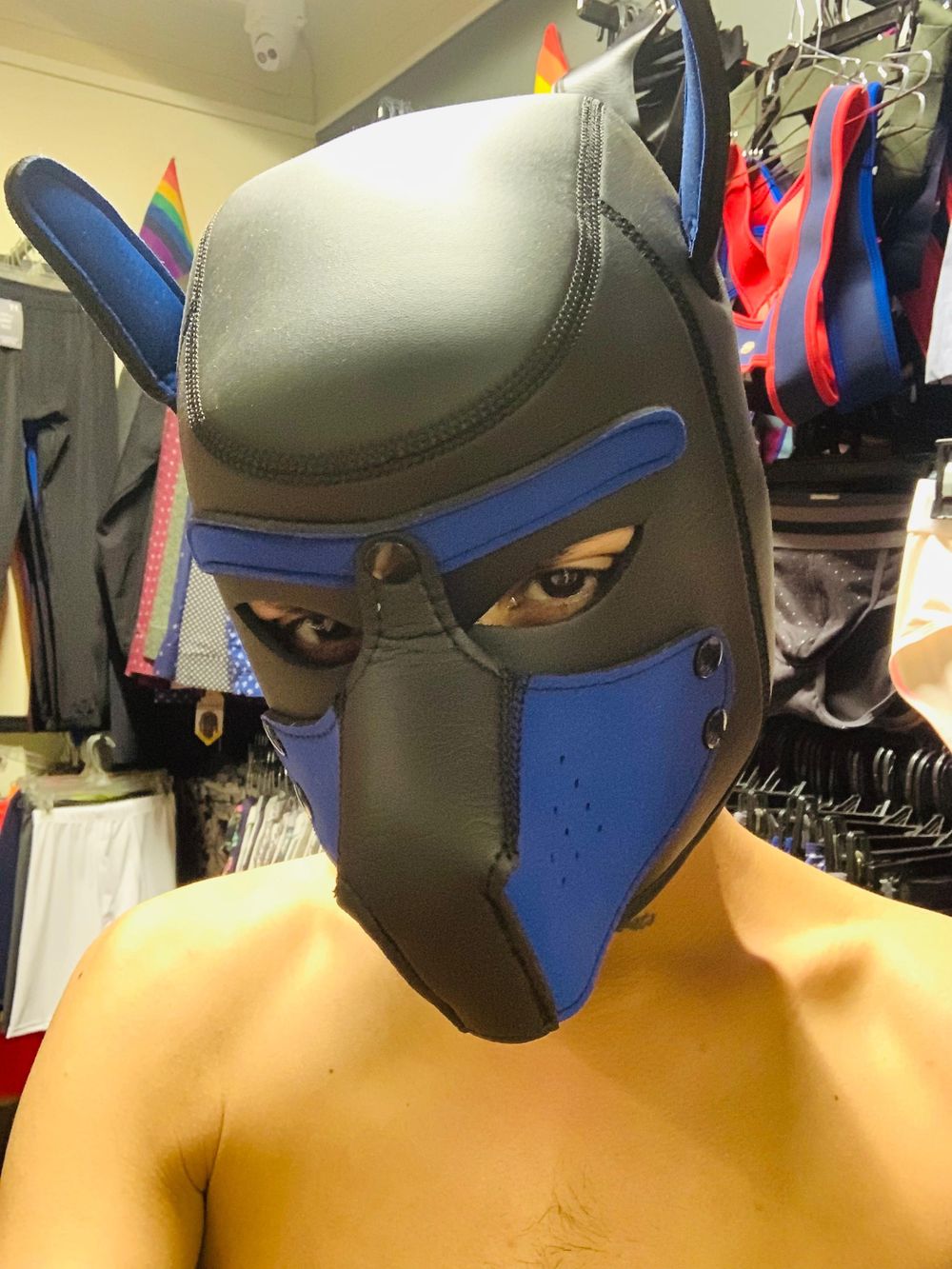 dylandlealstar OnlyFans profile picture