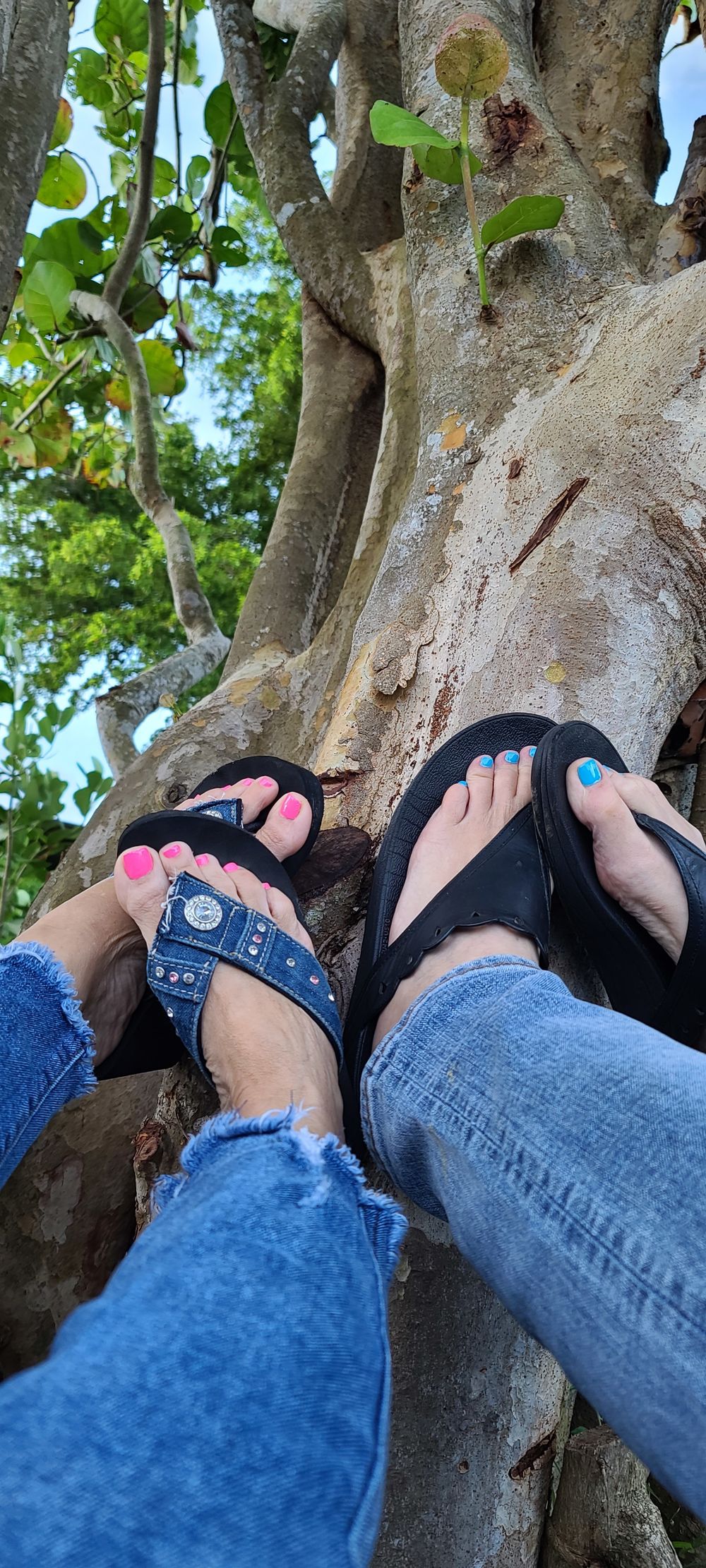 sisterfeets1 OnlyFans profile picture