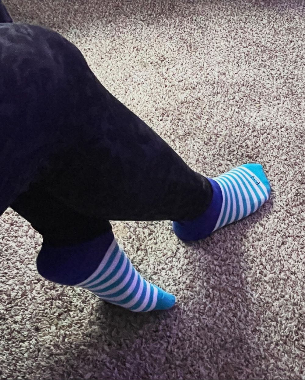 pixiefeet00 OnlyFans profile picture