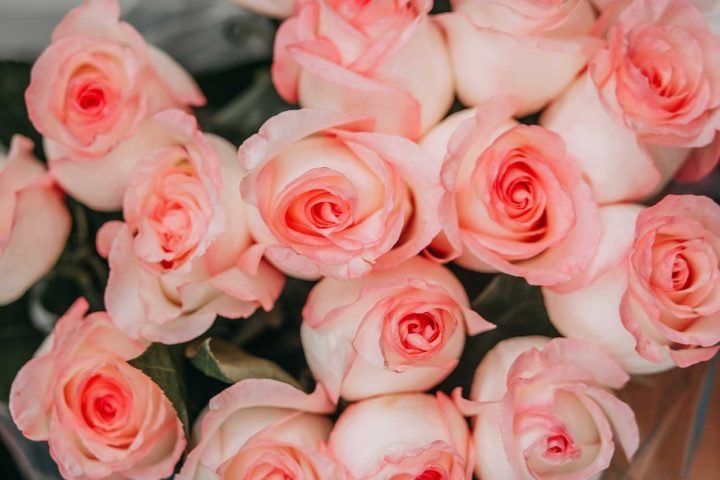 pettypinkrose OnlyFans profile picture