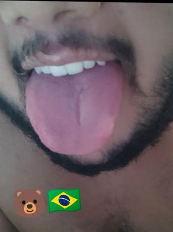 Brazilian Little Bear