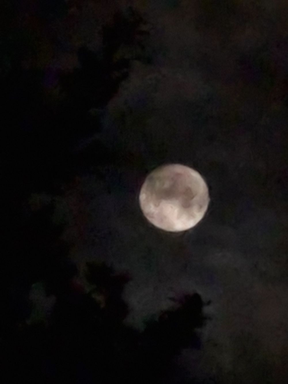 yxurmoon OnlyFans profile picture