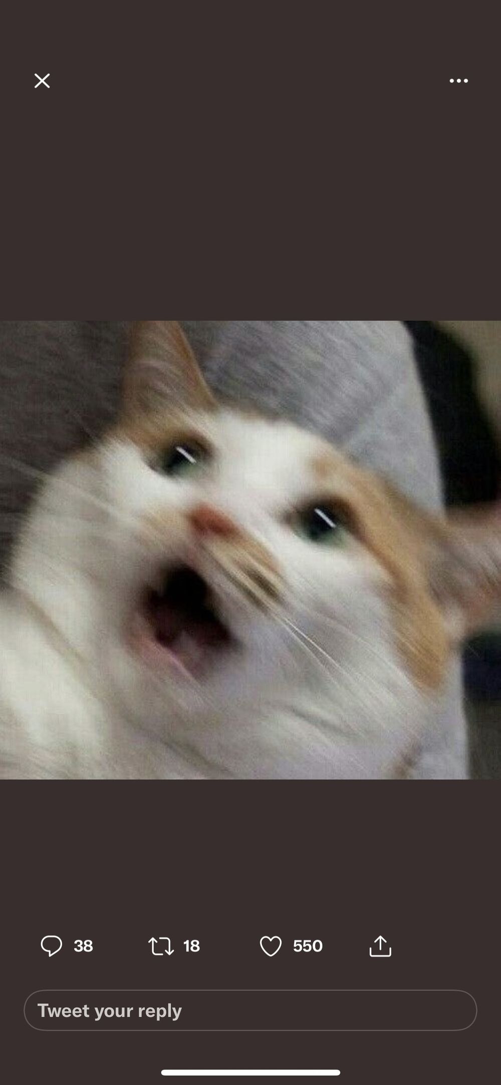 eyedamn OnlyFans profile picture