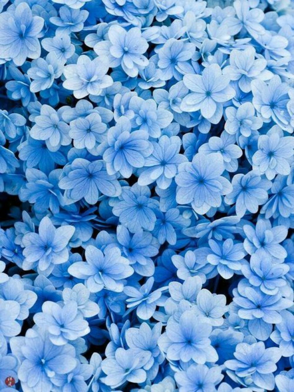 xmagazulu OnlyFans profile picture