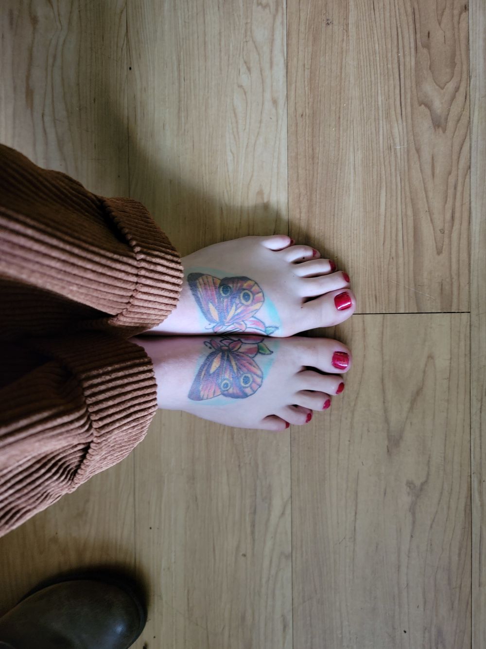 contoertionist OnlyFans profile picture