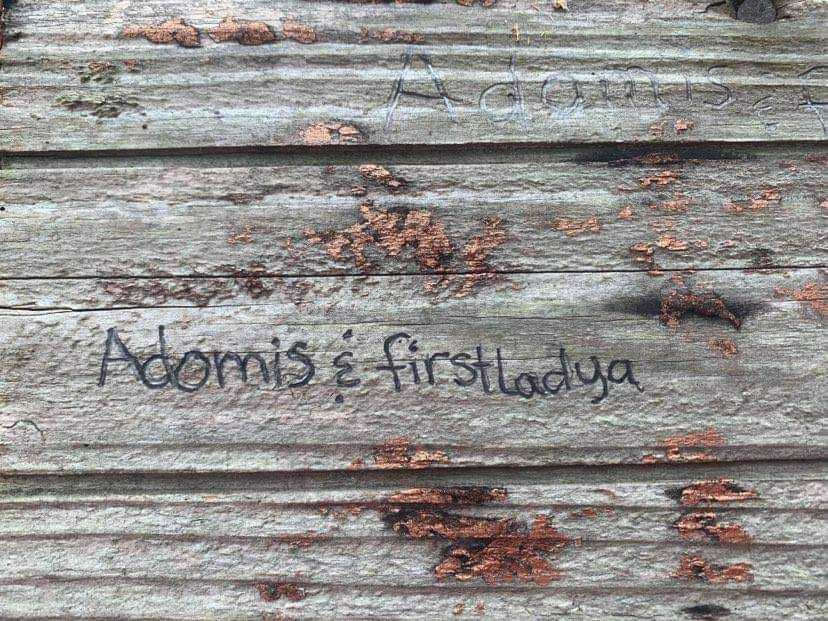 firstladya82 OnlyFans profile picture