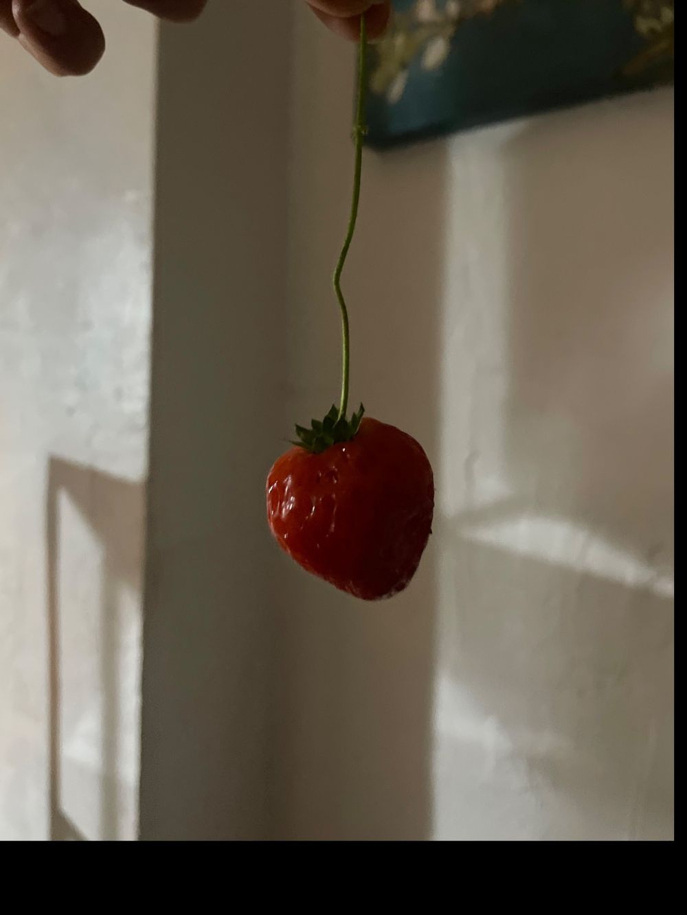 victoriabbbbb OnlyFans profile picture