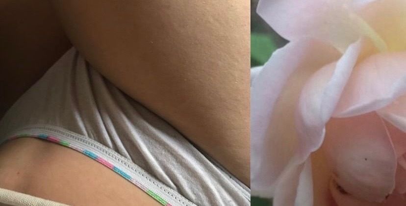 venusinfurzzz OnlyFans profile picture